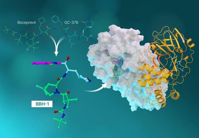 Researchers Use a Novel Approach to Design a COVID-19 Antiviral Drug