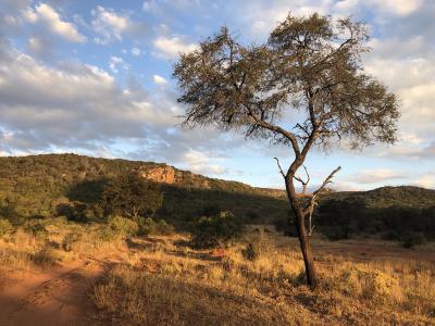 Limpopo Province in South Africa
