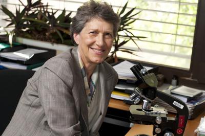 Susan Gasser, Friedrich Miescher Institute for Biomedical Research