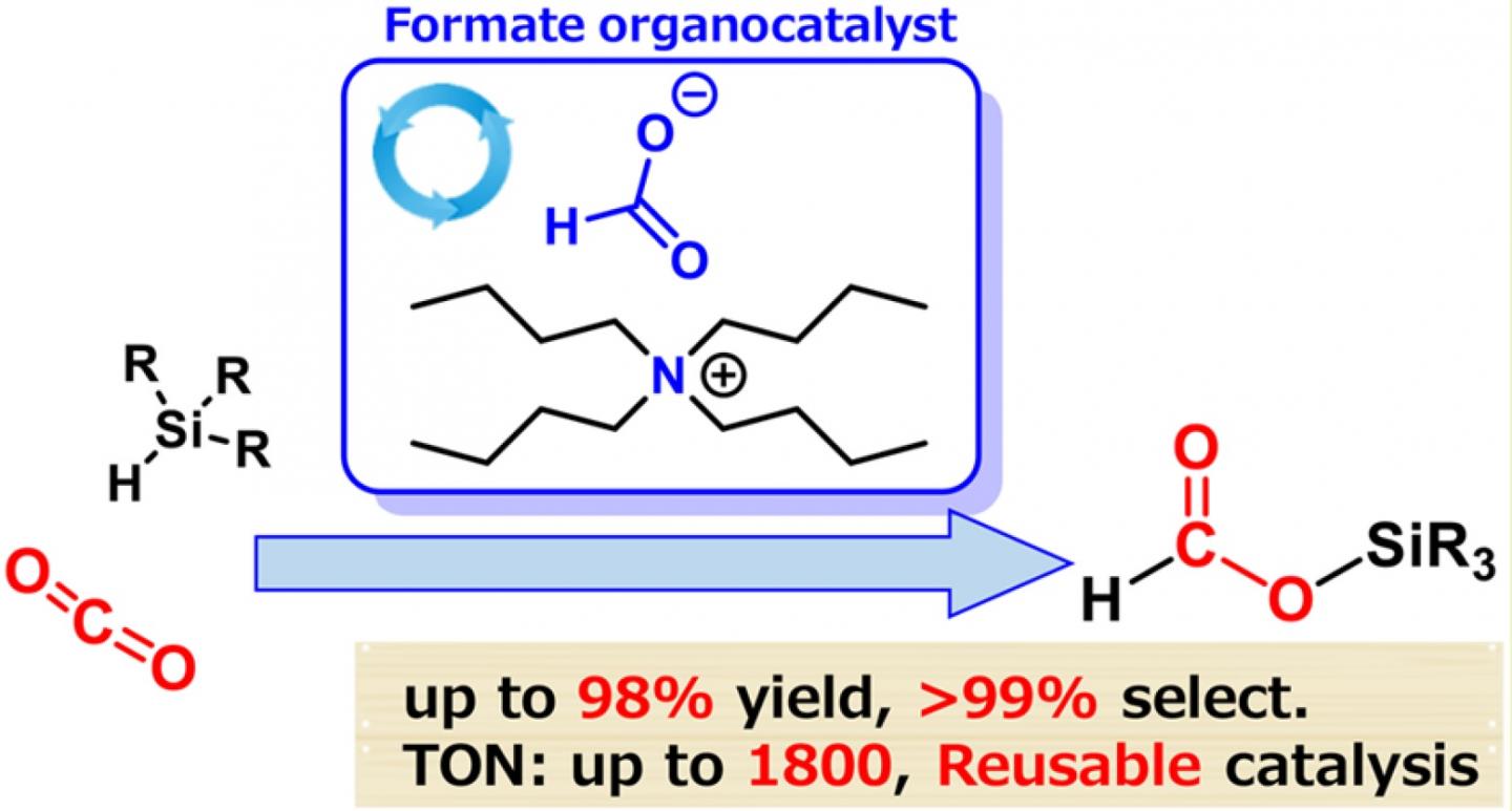 Figure 1: Formate-Catalyzed Reduction of CO2 to Formate Products