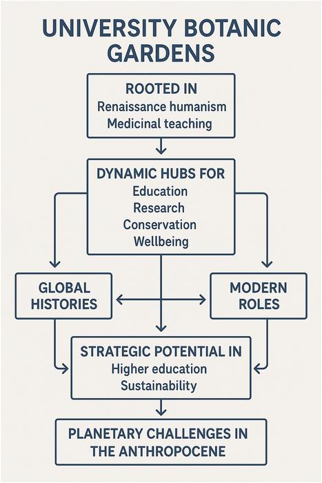 Graphical Abstract