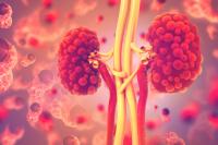 Polycystic Kidney Disease