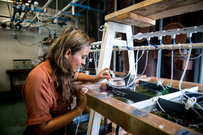 2.	Alex Schnell in Cephalopod Mariculture Facility at Marine Biological Laboratory, Woods Hole.