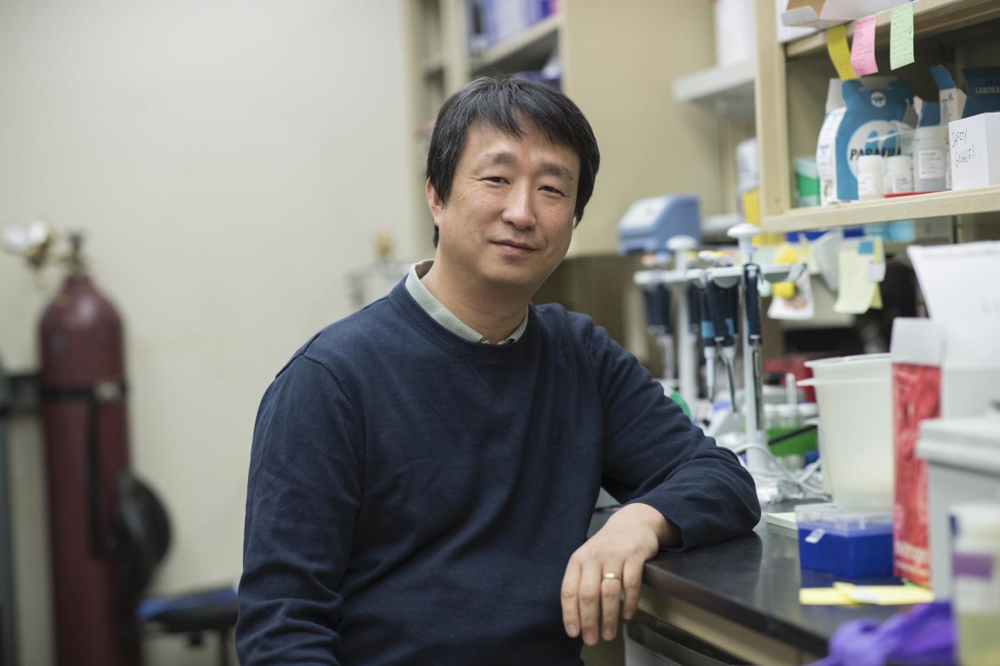 In the Inner Ear, UVA Finds An Essential Key to Hearing Sensitivity