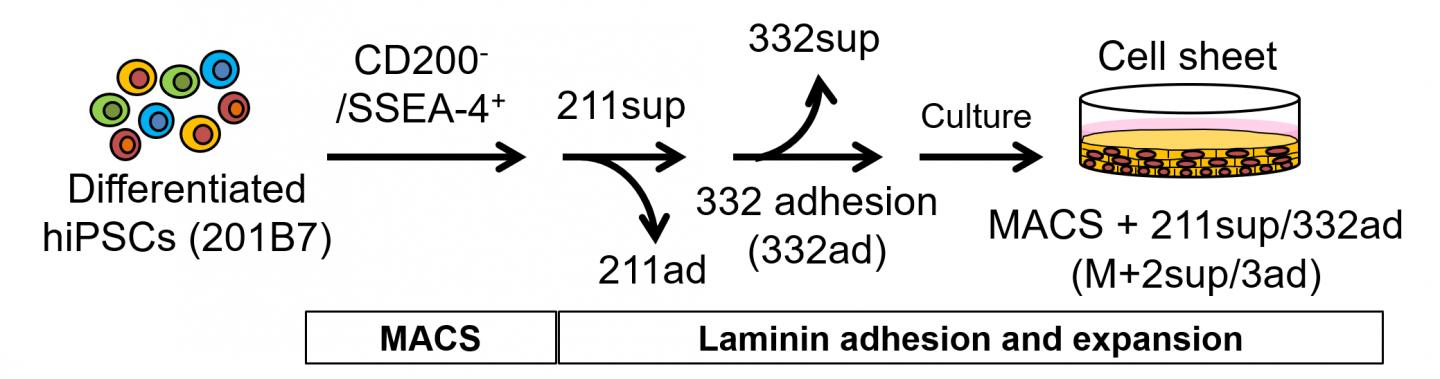 Fig.1