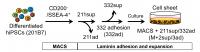 Fig.1