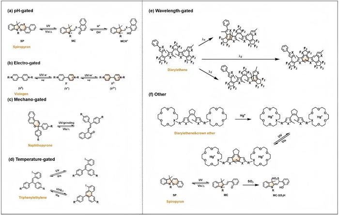 Fig2 Classification of some typical multigated photochromic systems