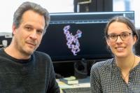Have Developed a New Method for the Structural Elucidation of Long Ribonucleic Acids (RNA)