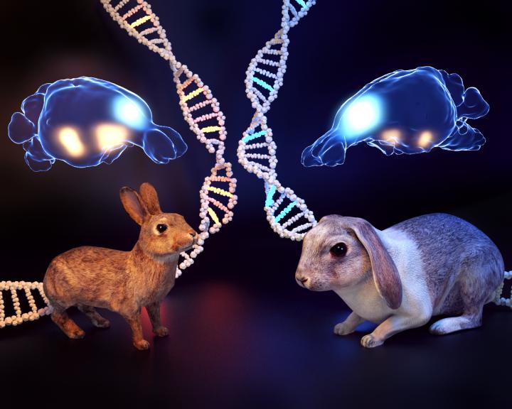 Striking Phenotypic Differences