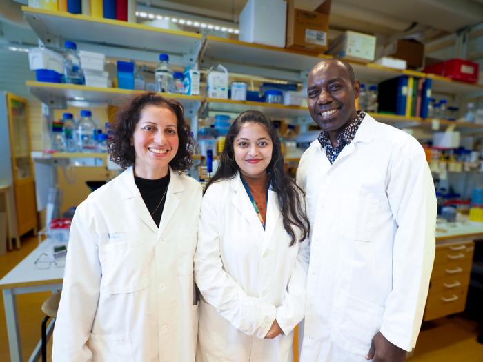 Research team