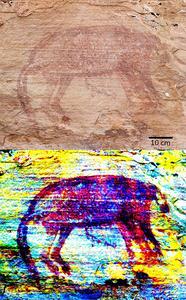 Injalak Hill Large Naturalistic style thylacine alone on a panel