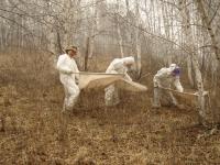 Tick Survey