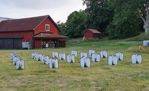 Fieldwork at Tovetorp