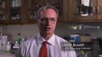 Putting a Bull's-Eye on the Flu: Detailing Influenza's Structure for Drug Targeting