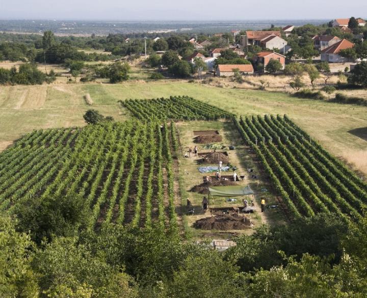 Pokrovnik