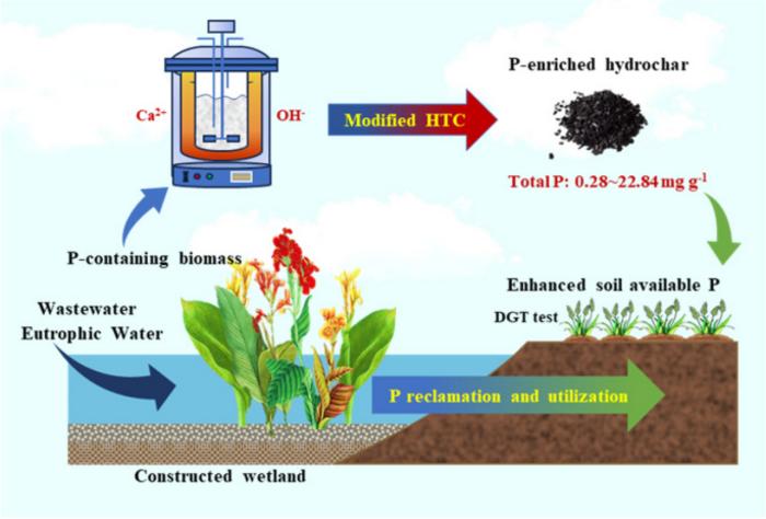 Efficient reclamation of phosphorus from wetland plant via CaCl2/NaOH-mediated hydrothermal carbonization: insights from the evolution of phosphorus