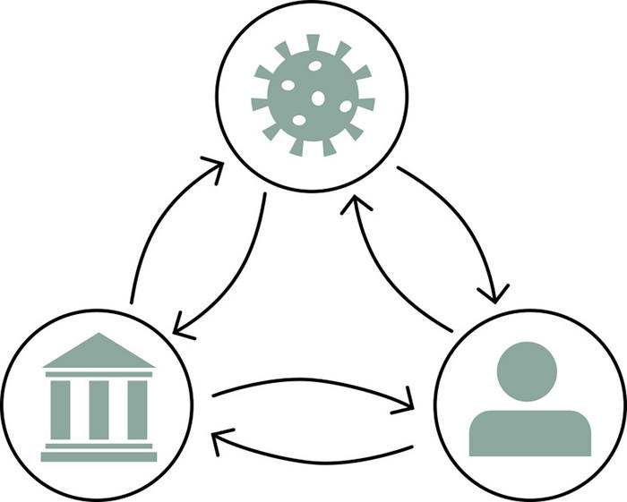 Epidemics feedback system