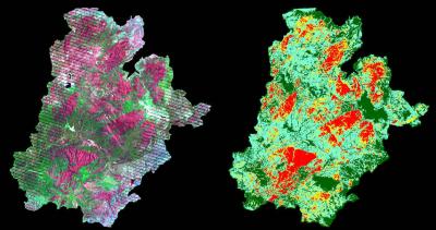 Wallow Fire  Post Fire Images from Landsat