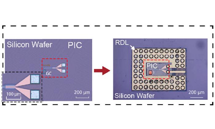 Low-loss interconnects