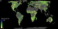 Land Available for Forest Restoration