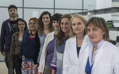 Pine Plantations Provide Optimum Conditions (2 of 2)