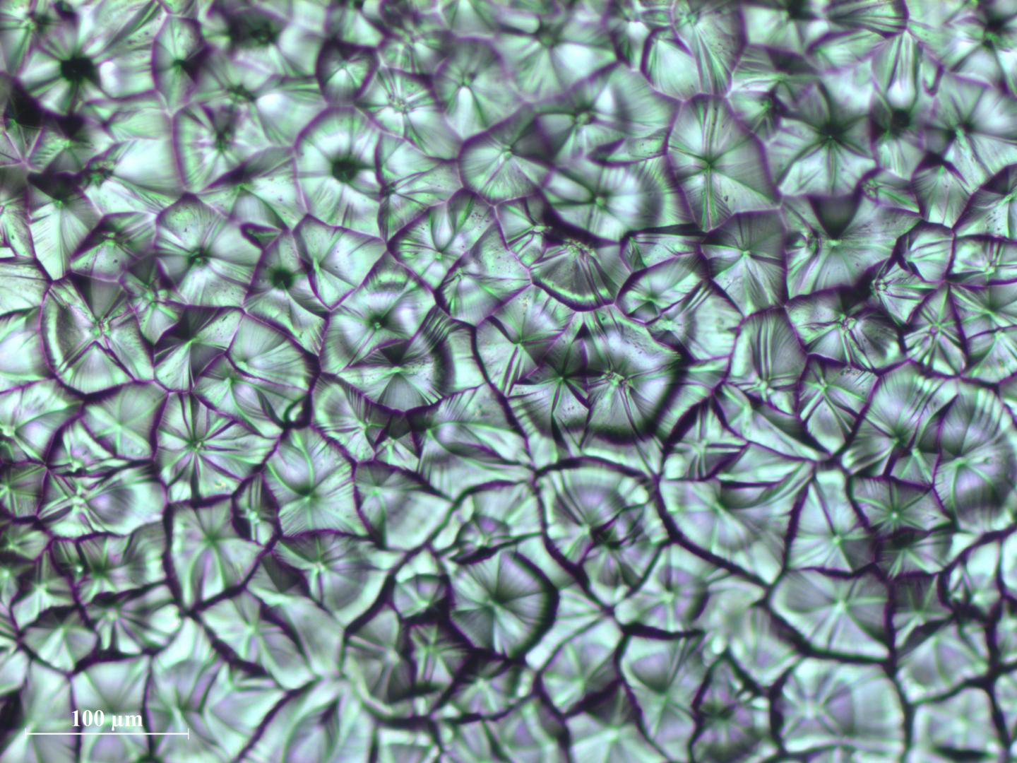 Perovskite Crystals