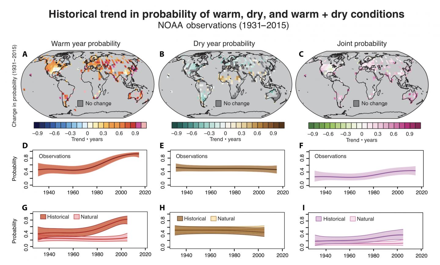 Historical Trends