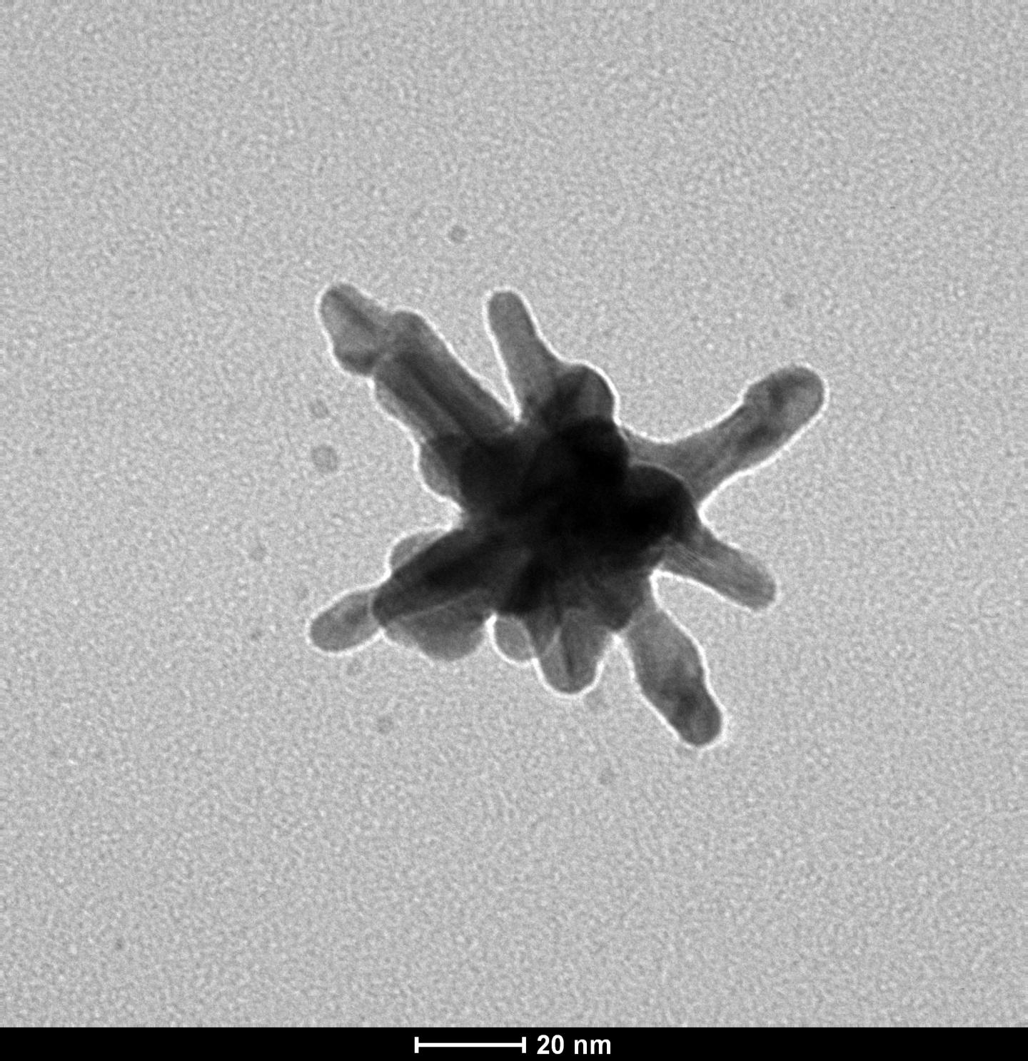 Gold Nanostar
