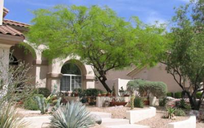 Photo of a Xeric, or Desert, Yard in Phoenix