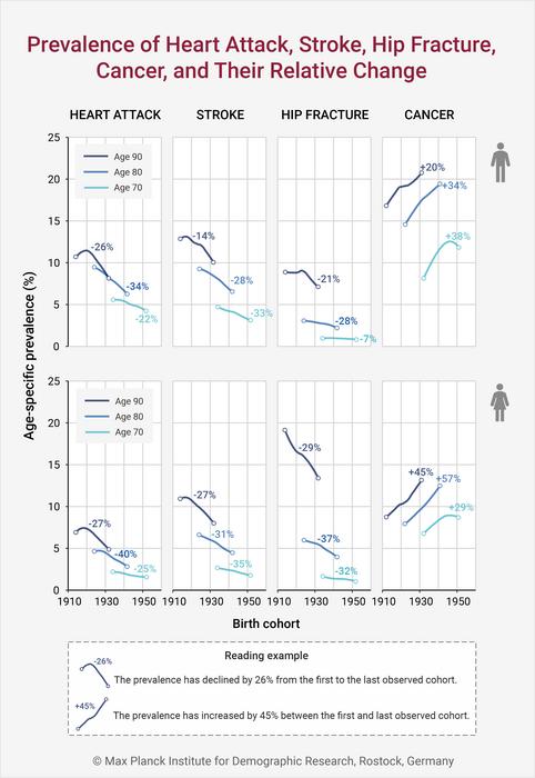 Prevalence (%) of heart attack, stroke, hip fracture and cancer