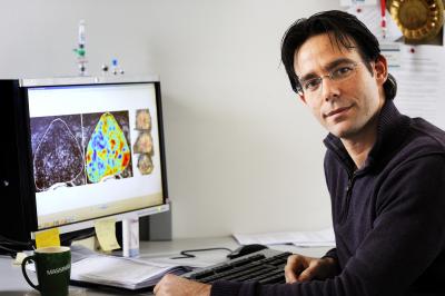 Massimo Mischi, Eindhoven University of Technology