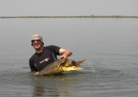 Loggerhead Turtle (1 of 3)