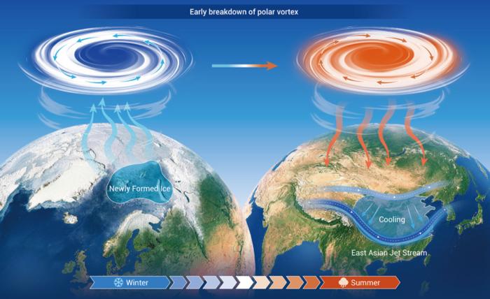 From Arctic winter sea ice to East Asian summer heat: a stratospheric bridge