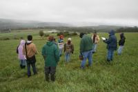 Field Walk