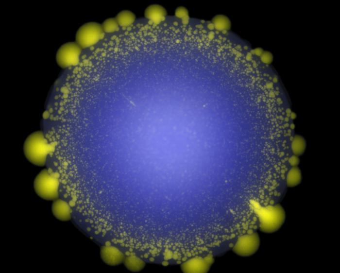 Genetically modified yeast colony