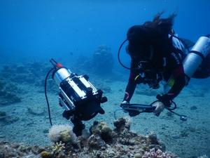 Diver deploys new microscope in the Red Sea