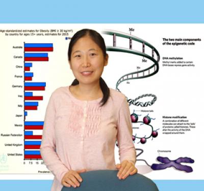 Dr. Xiaoling Wang, Medical College of Georgia