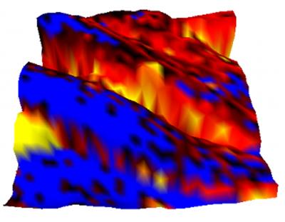 Glucose Supresses Ferroelectricity