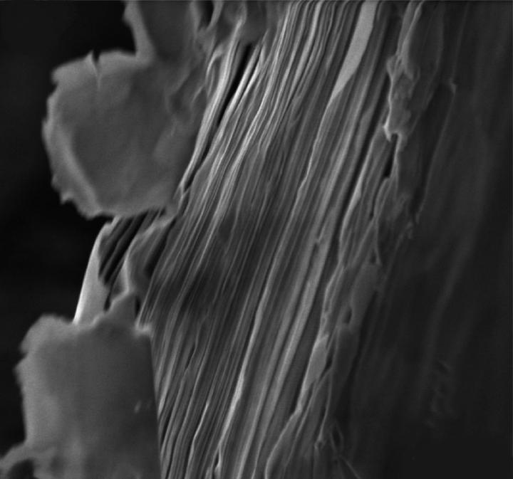 Clay Sheets Stack to Form Proton Conductors
