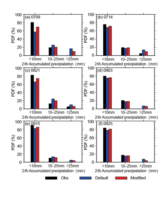 Probability density distributions of precipitation