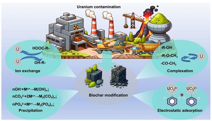 Remediation of uranium-contaminated water and soil by biochar-based materials: a review