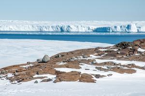Vanderford Glacier and bedrock (R. Jones).jpg