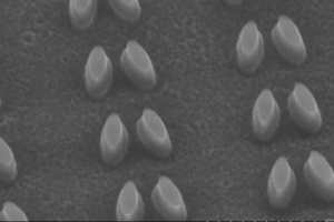 SEM image of electro-optical modulator