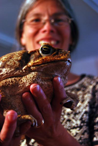 Kiisa Nishikawa and Cane Toad from Suriname