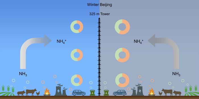 Ammonia sources of PM2.5 ammonium in winter Beijing
