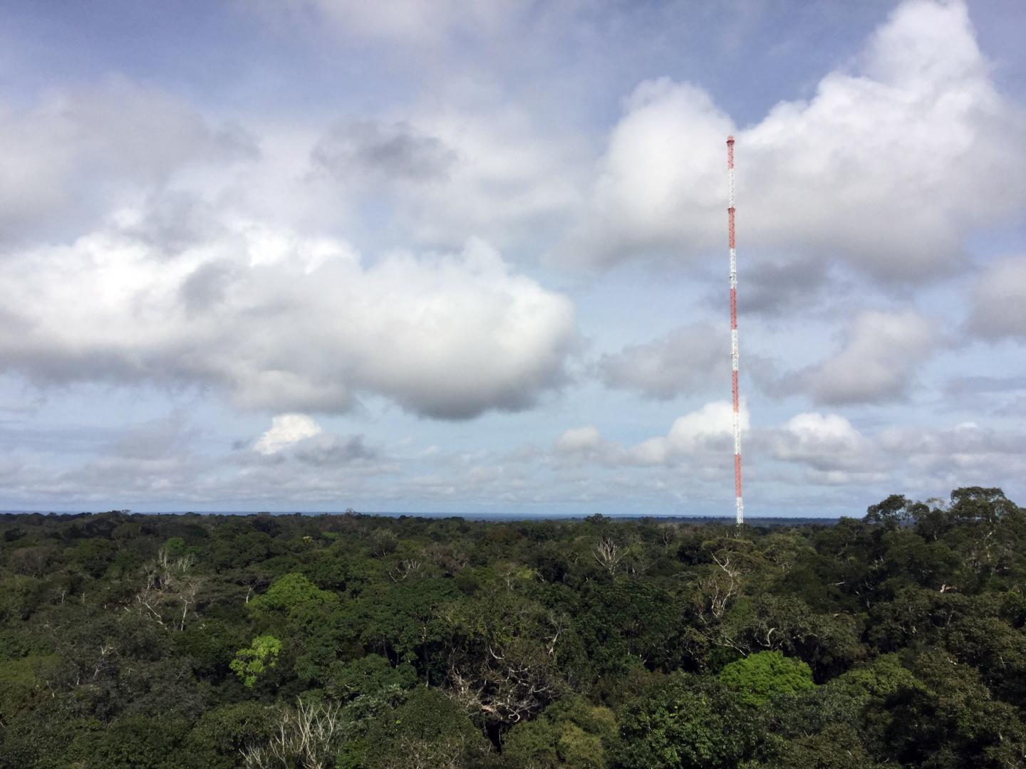 Measurements of Cloud Condensation Nuclei