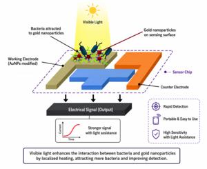 Light-assisted portable sensor for the detection of harmful pathogens