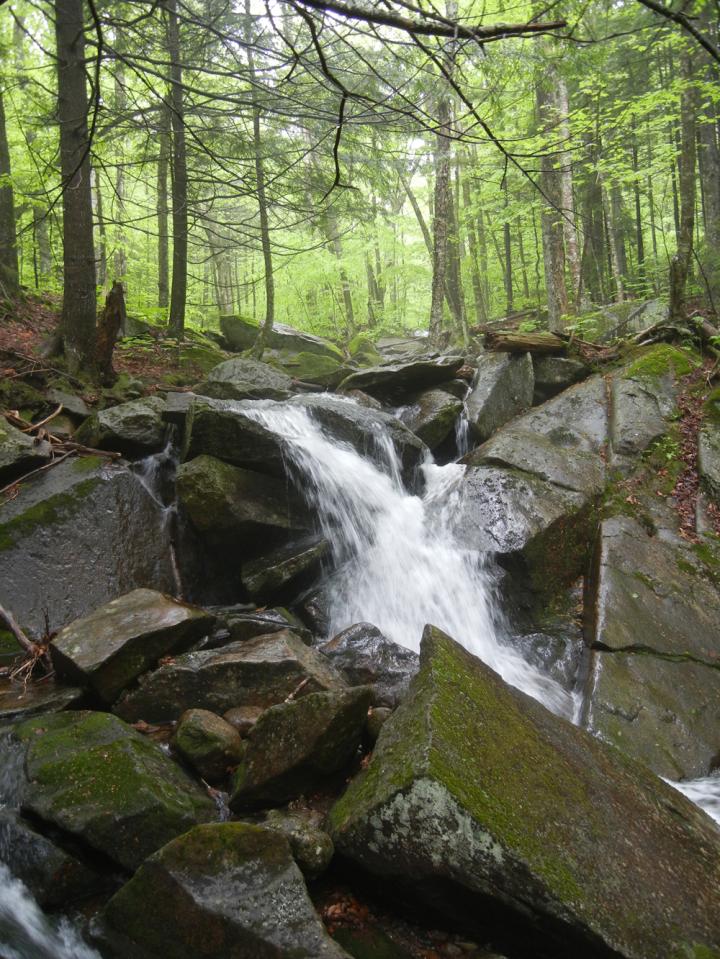 Hubbard Brook