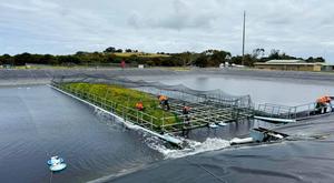 Floating wetland