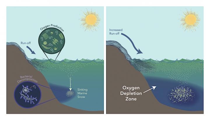 O2 Depletion